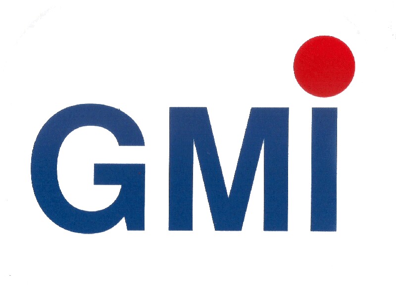 GMI workshop 1 GMI workshop 1